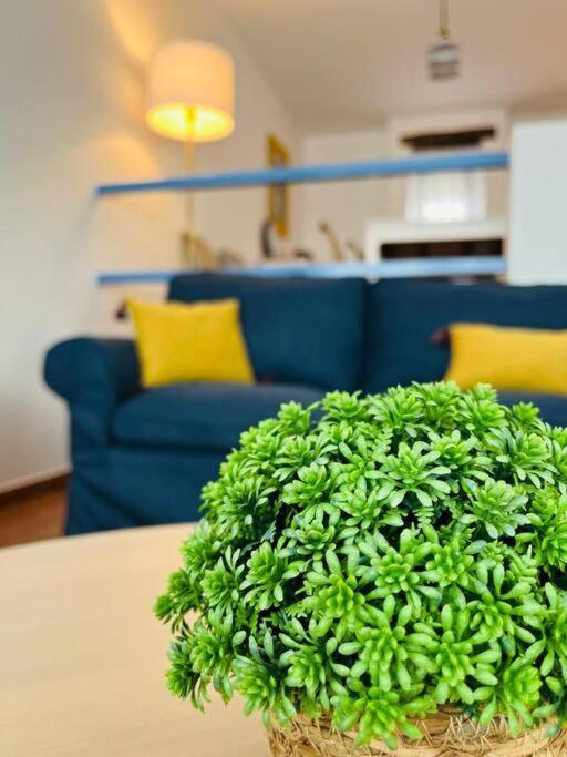 Casa Sonia Holiday home San Jose (Almeria)